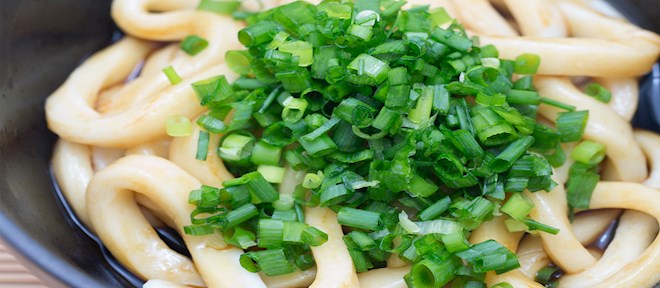 Ise udon