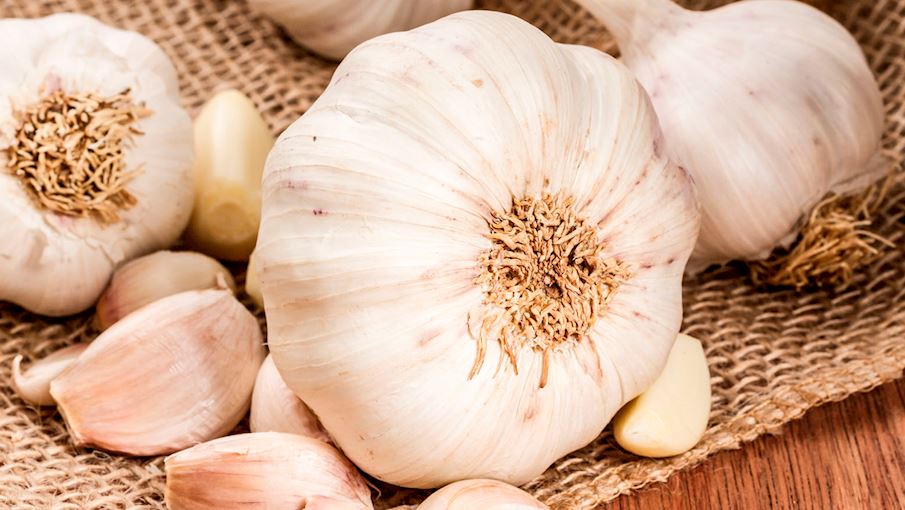Ail blanc de Lomagne