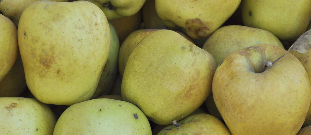 Top 4 Thessalian Fruits