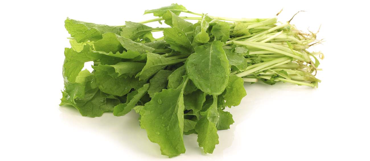 Top 27 Spanish Vegetables
