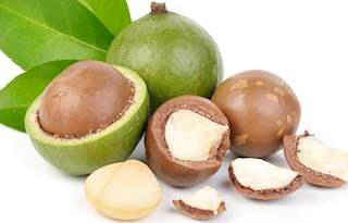Macadamia