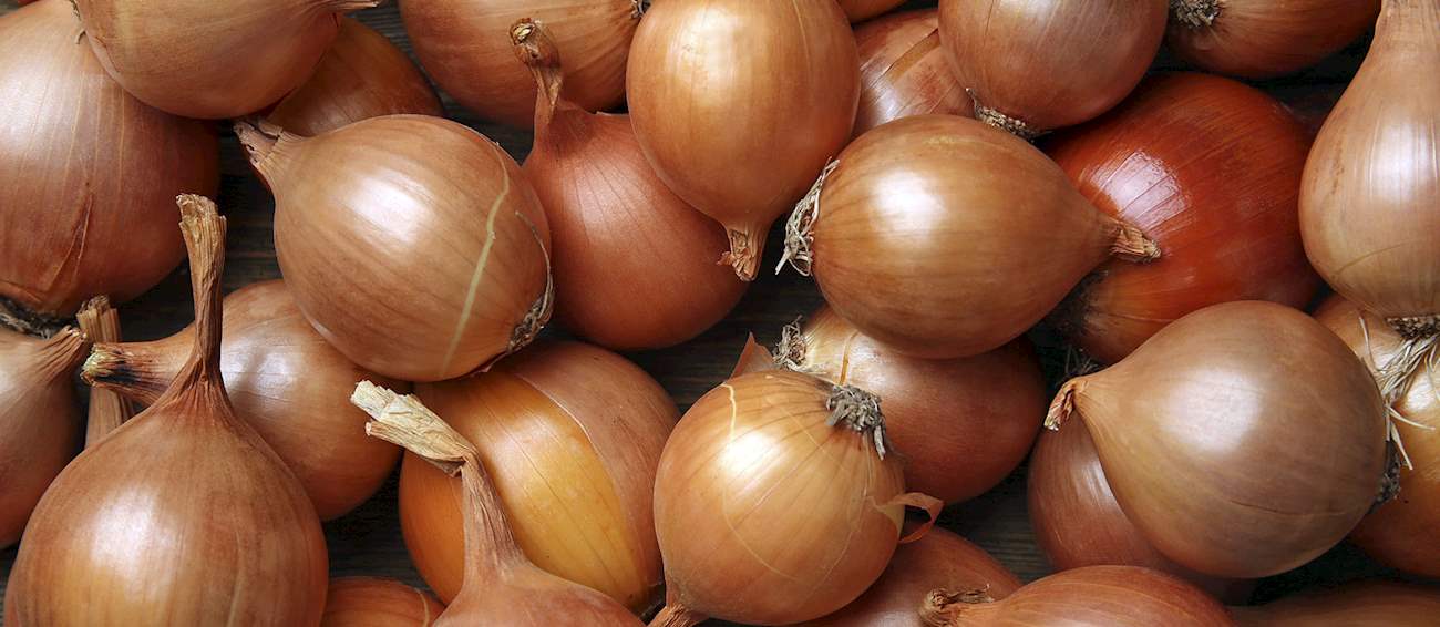 Top 38 Central European Vegetables