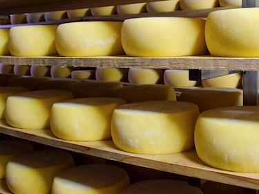 3 Most Popular Azorean Cheeses - TasteAtlas