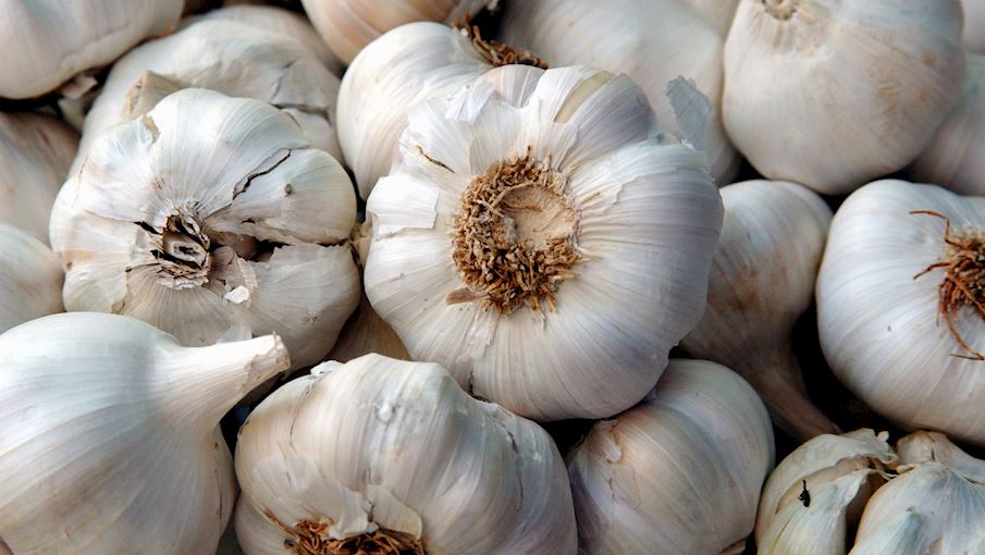 Aglio Bianco Polesano