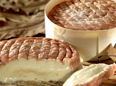 Cheese 101: The Stinky World Of Washed Rind Cheese, 48% OFF
