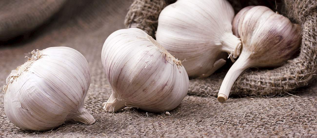 Top 5 French Garlics
