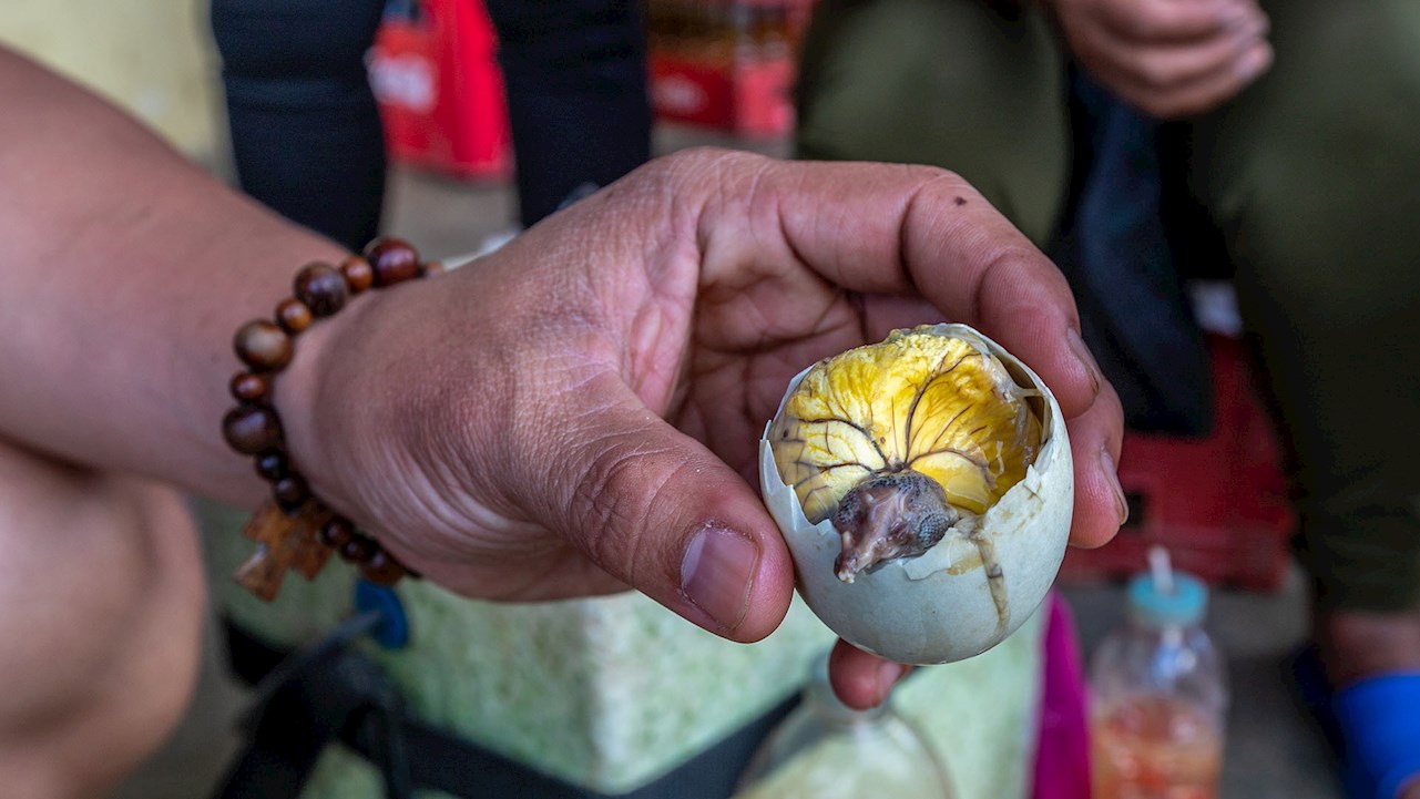 World’s Weirdest Dish: A Fertilized Duck Egg. How Do You Even Eat it?