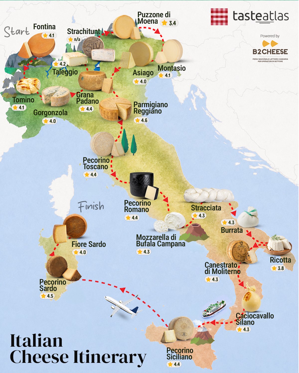 The Best Italian Cheeses: A Journey Through Italy's Dairy Excellence