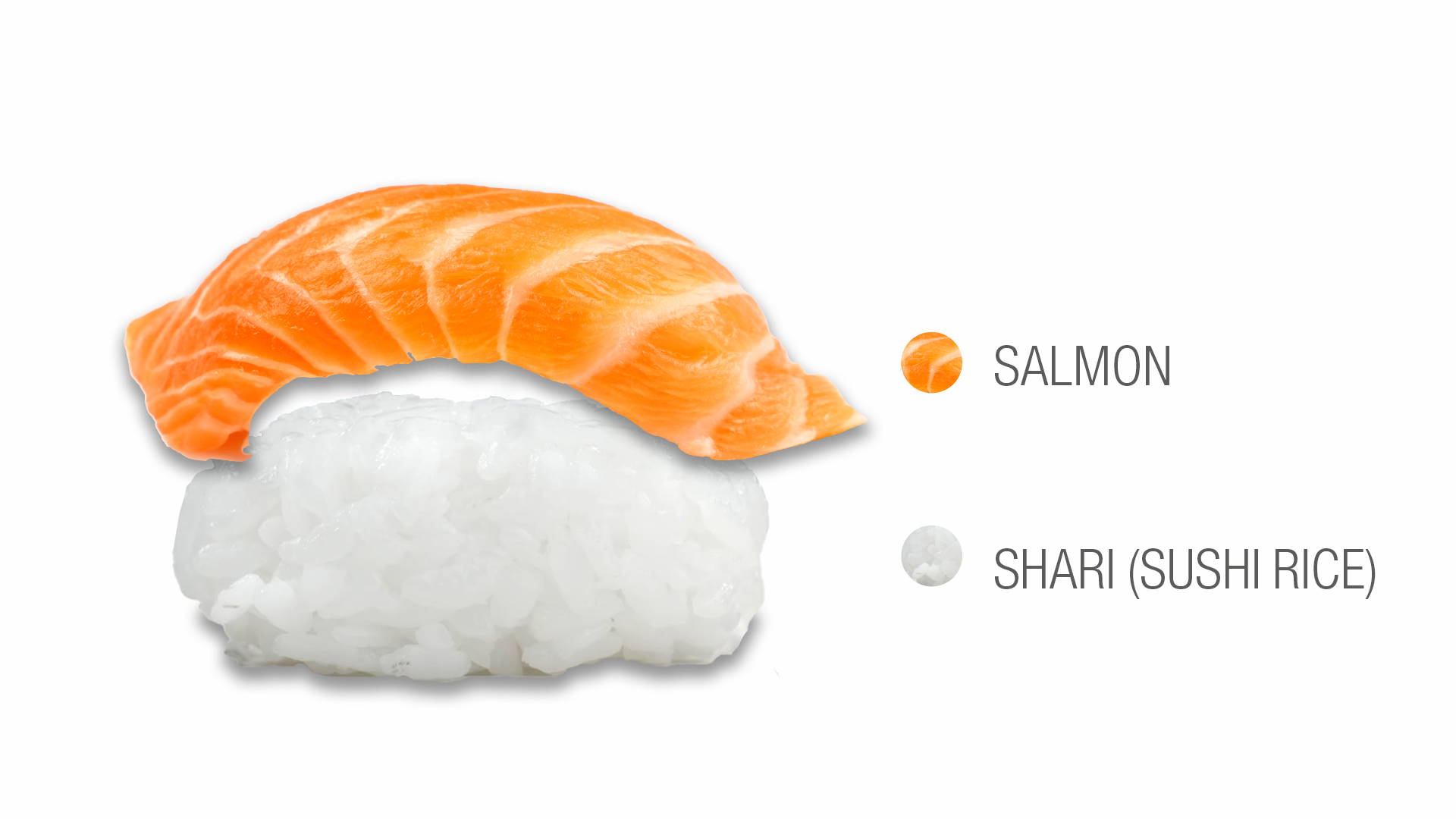 Salmon sushi infographic