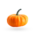 Calabaza