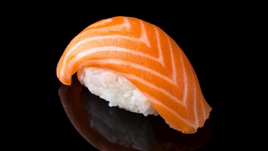 Salmon sushi