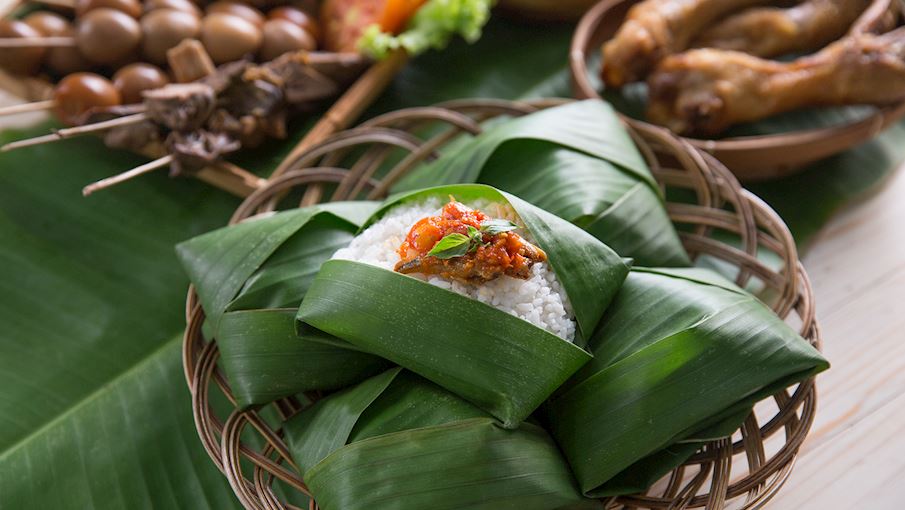 Nasi kucing