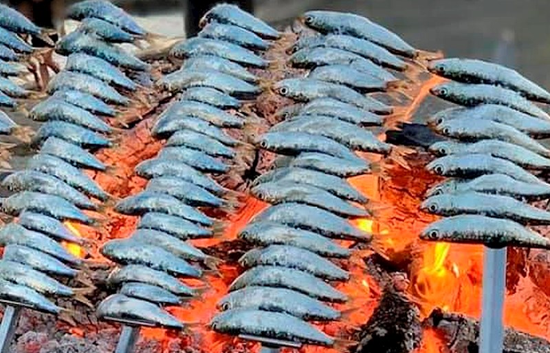 Espetos in Malaga: Discover the Best Grilled Sardines by the Sea