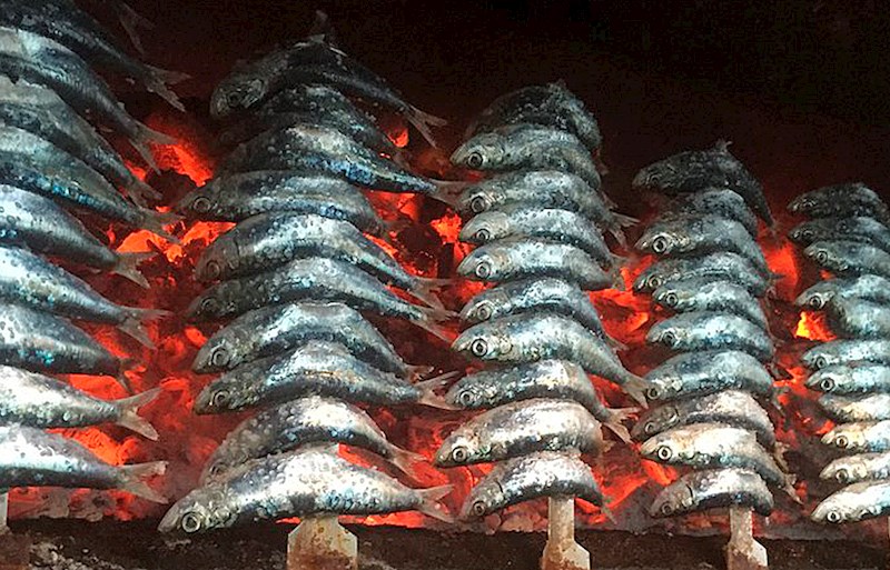Espetos. The sardine ones are a Malaga cuisine classic