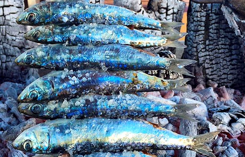 ▷ Enjoying authentic sardines in Malaga - El Espeto