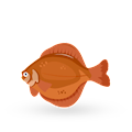 Flounder