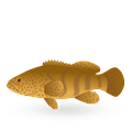 grouper