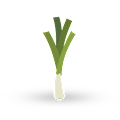 Leek