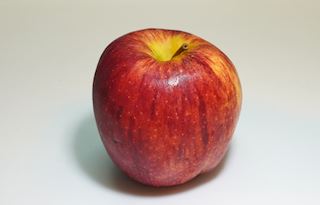 Envy (apple) - Wikipedia