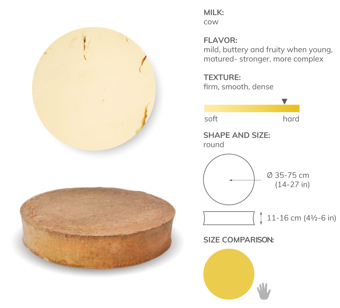 35 Types Of Cheese, Explained