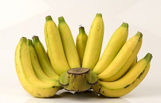 Gros Michel banana