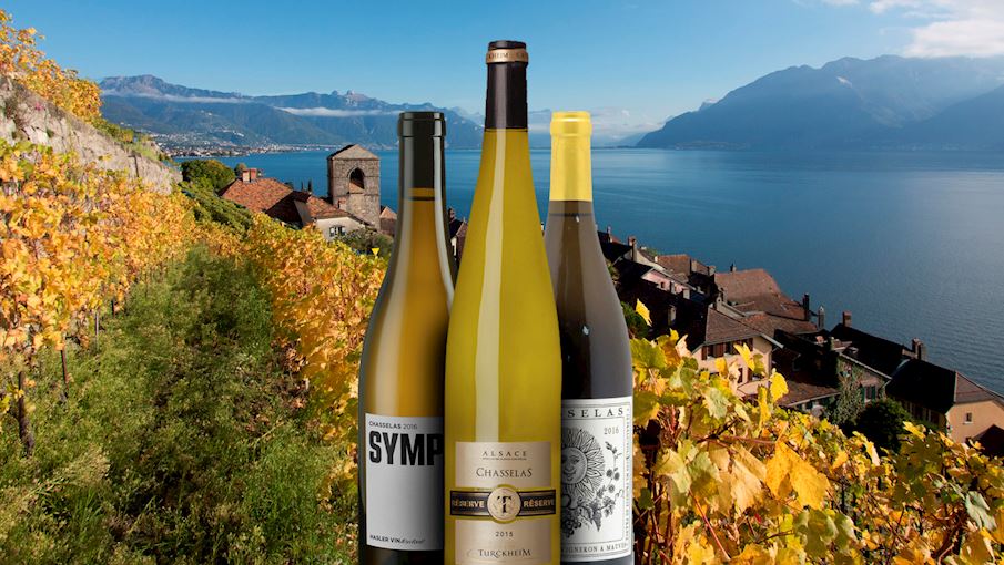 Chasselas