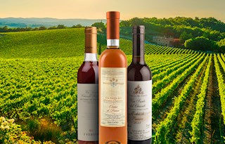 Vin Santo Del Chianti Occhio di Pernice