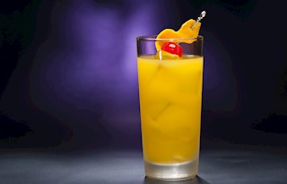 Black-Eyed Susan