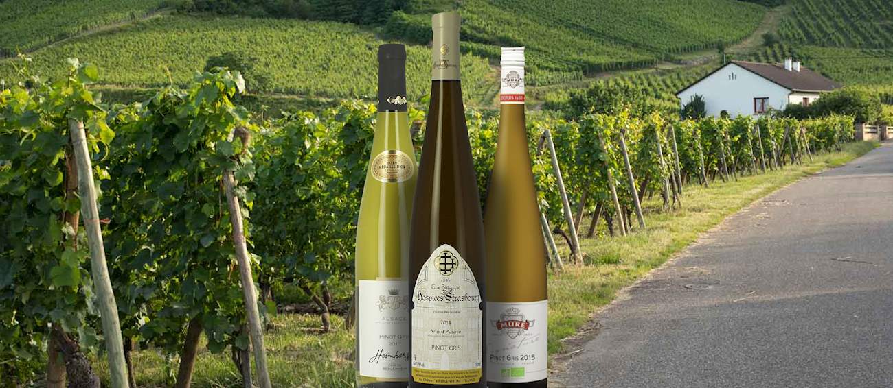 Top 59 Western European White Grapes