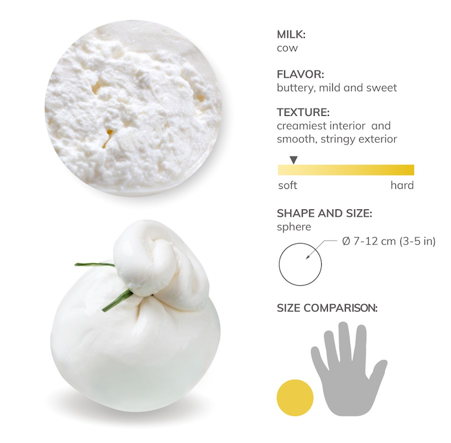 What Is Burrata and How Is It Made?