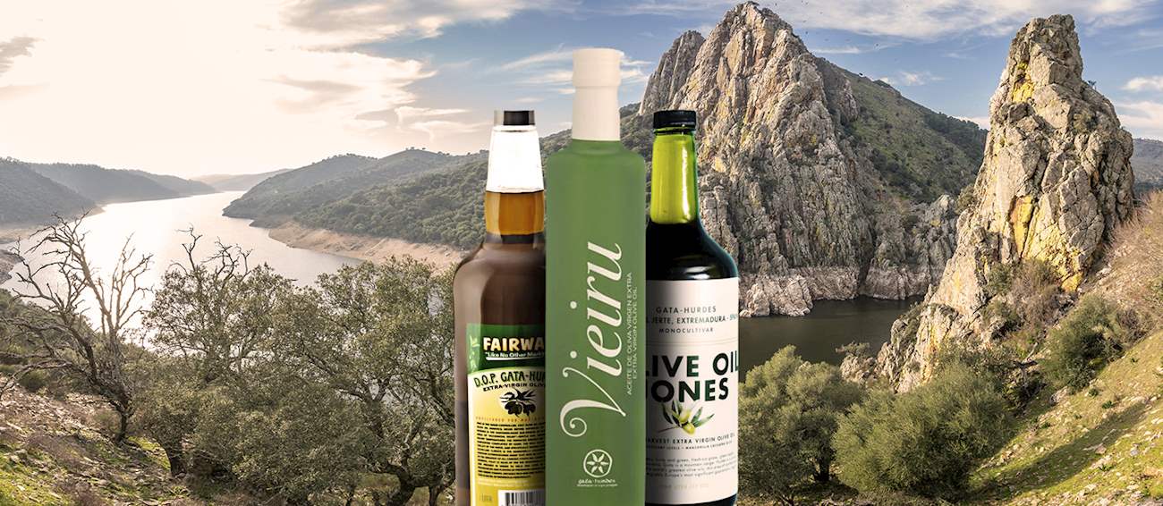 Top 26 Extremaduran Oils and Animal Fats
