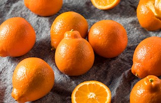 Tangelo