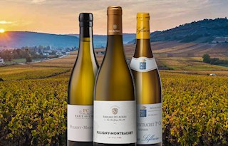 Puligny-Montrachet