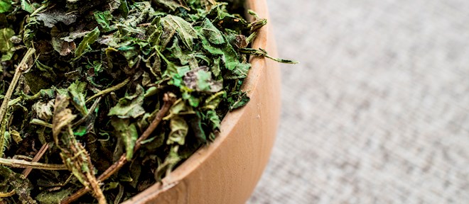 Mau Forest Dried Nettles