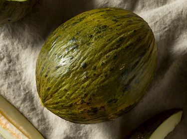 Melons - Esperanza de Oro / Melon d'Espagne