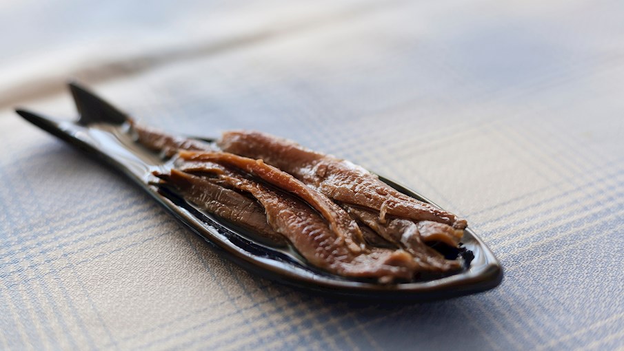 Anchoas de Cantabria