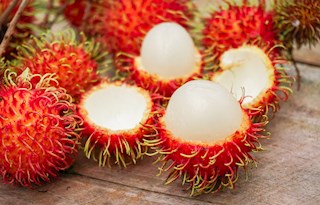 Rambutan