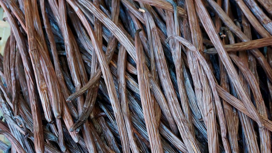 Chinantla Vanilla