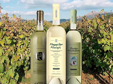 White Best in 3 the TasteAtlas - Wines Peloponnese