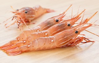 Spot prawns