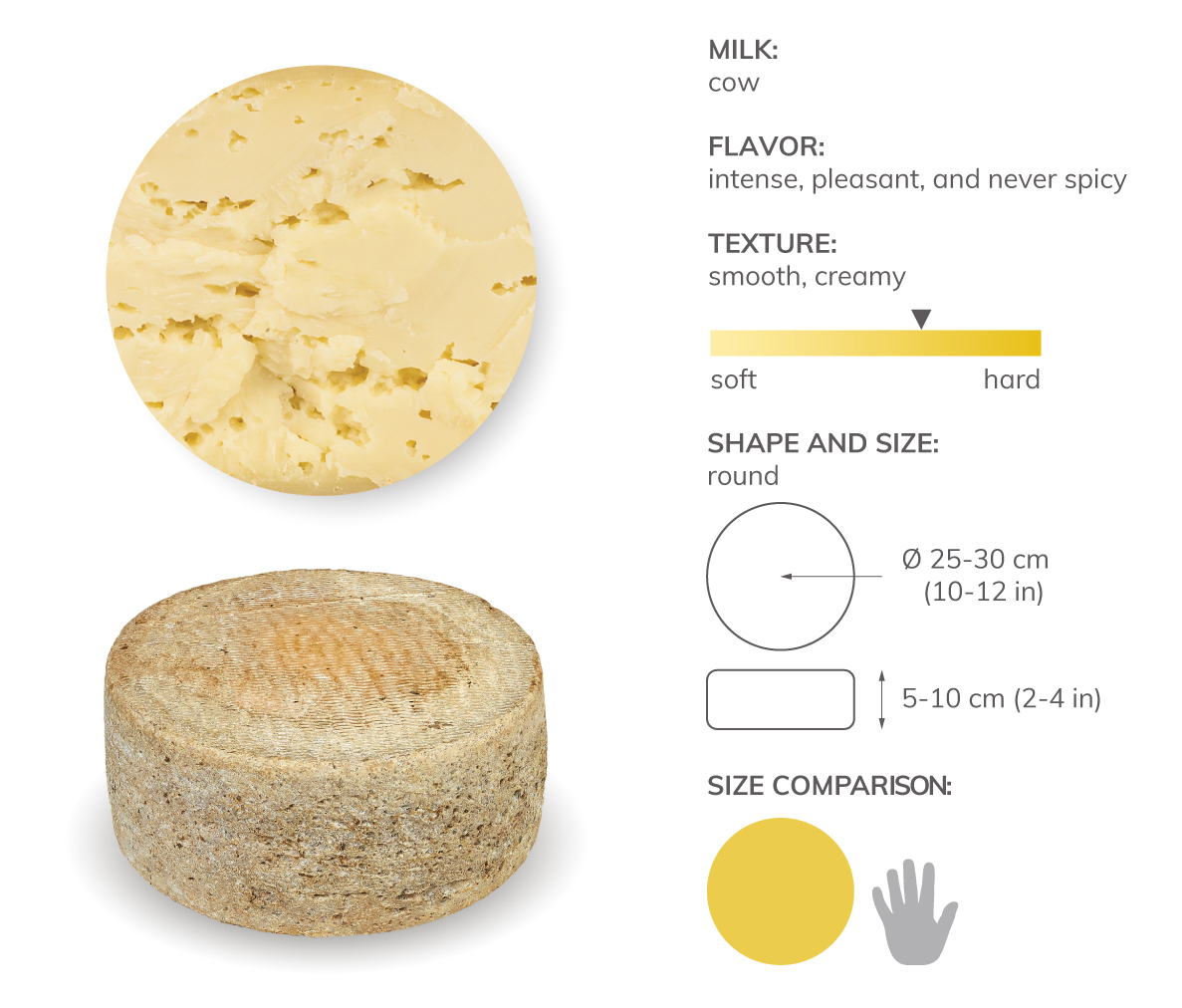 Bastardo del Grappa infographic