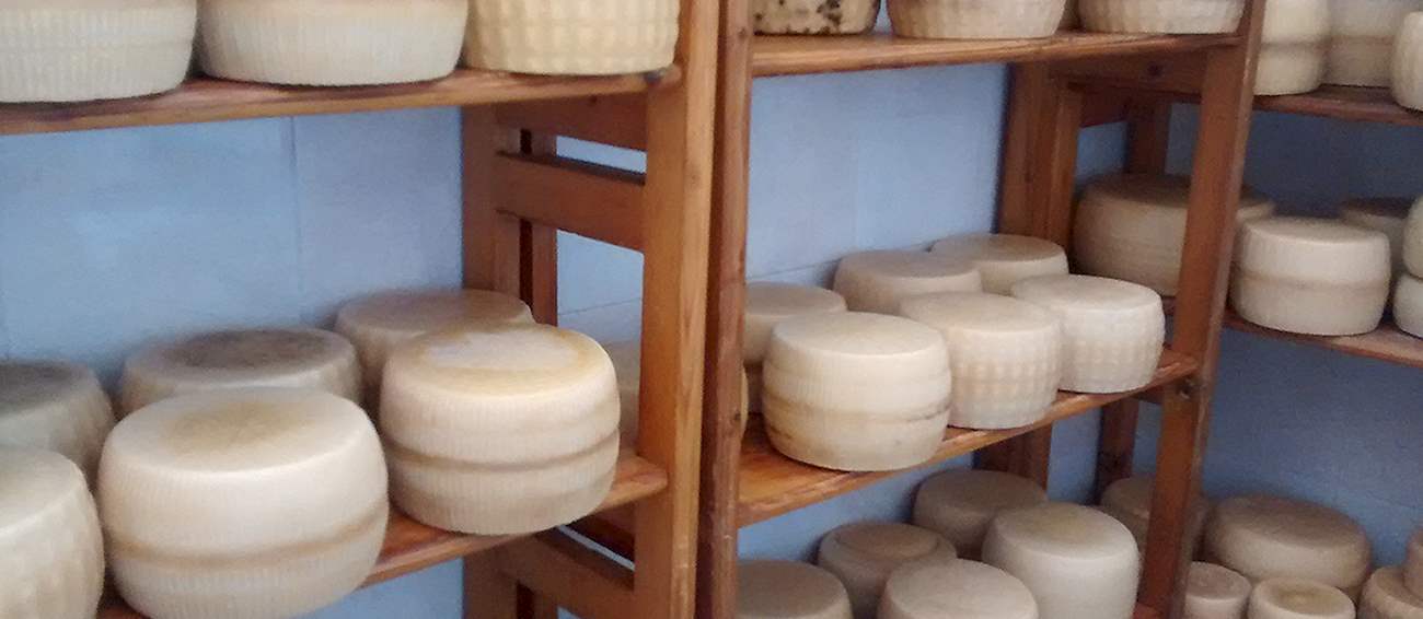 3 Worst Rated Italian Goat Cheeses