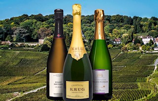 Pinot Meunier