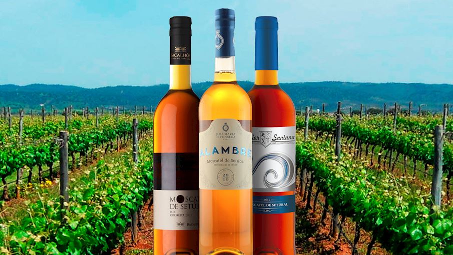 Moscatel de Setúbal