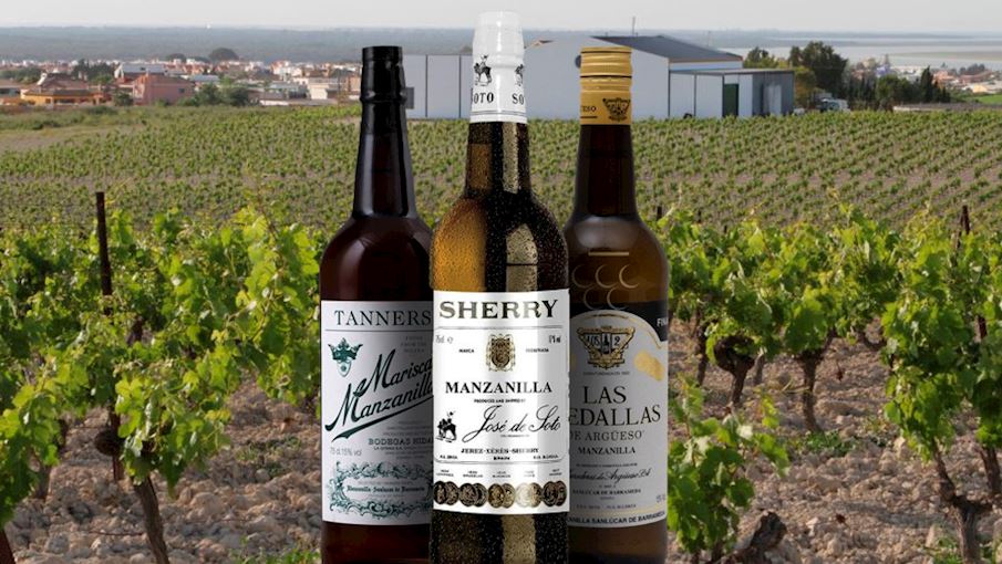 Manzanilla