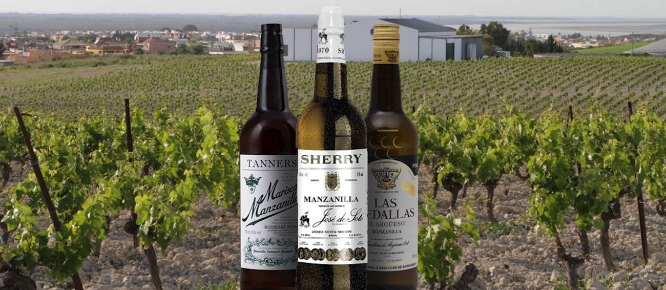 4 Worst Rated  Fortified Wines in the Province of Cádiz