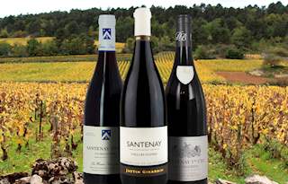 Santenay Rouge