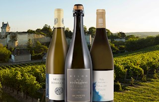Melon de Bourgogne