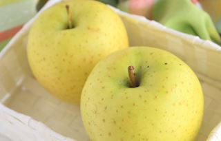 Orin apples