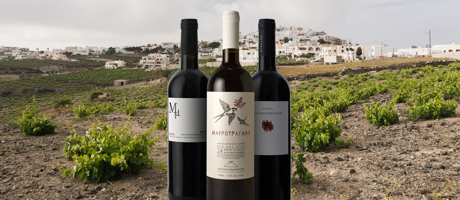 Greek red outlet wines